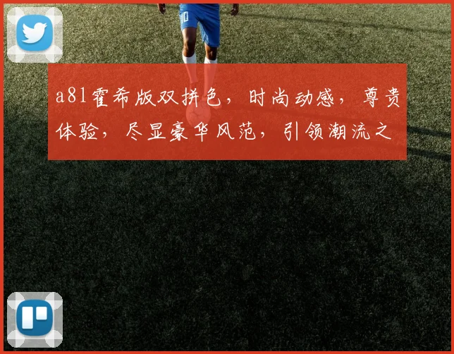 a8l霍希版双拼色，时尚动感，尊贵体验，尽显豪华风范，引领潮流之选，不容错过