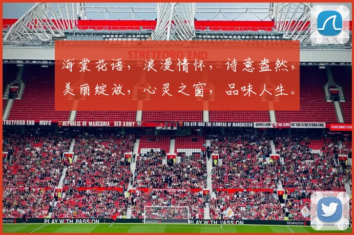 海棠花语，浪漫情怀，诗意盎然，美丽绽放，心灵之窗，品味人生。